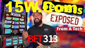 Premium Interface Bet313